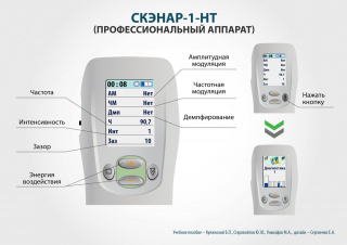 СКЭНАР-1-НТ (исполнение 02.2) Скэнар Оптима в Нижнем Новгороде купить Медицинский интернет магазин - denaskardio.ru 